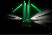 NIK_30288 Panda Dub 04-11-2016 Zz (p)